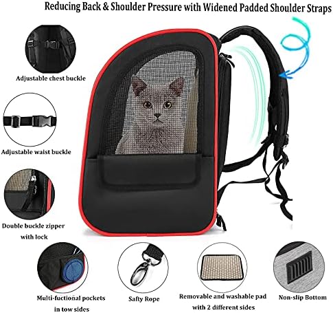 Kedi Taşıyıcı Sırt Çantası, genişletilebilir Pet Taşıyıcı Sırt Çantaları için Emniyet Kemeri ve Fermuar Toka ile Küçük Köpek,
