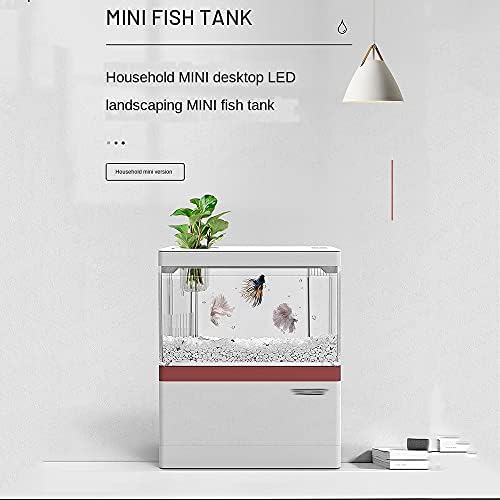 YFQHDD Masaüstü Yaratıcı Peyzaj Ev Küçük Ekolojik Balık Tankı Mikro Peyzaj Ücretsiz Su Değişimi Akrilik Mini Akvaryum