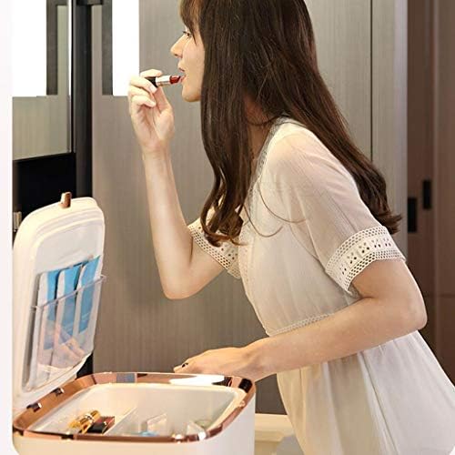 Güzellik Taşınabilir Kişisel Mini Buzdolabı, Kozmetik Ayna Buzdolabı, Yatak Odası, yurt, cilt Bakımı ve Kozmetik için araba