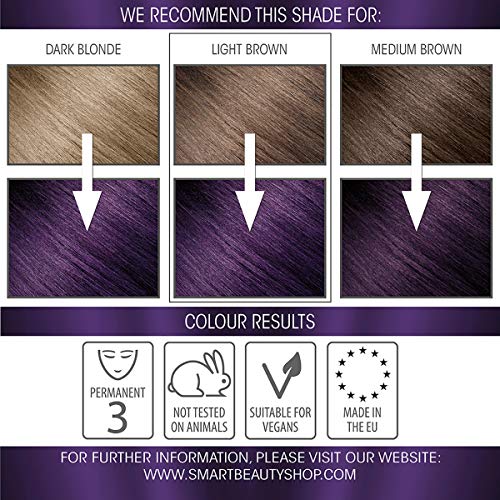 Plex Saç Anti-kırılma Teknolojisi ile Kalıcı Ametist Mor Saç Boyası / Vegan ve Zulüm Ücretsiz / Akıllı Güzellik