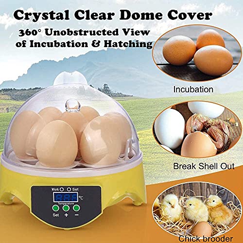 Mini Yumurta Kuluçka 7 Yumurta Çıkım Kanatlı Yumurta Kuluçka Makinesi Sıcaklık Kontrolü ile, küçük Tavuk Kuluçka Damızlık Kuluçka