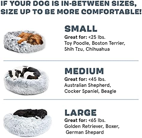 BarkBox Köpek Yatağı, 2'si 1 arada Hafızalı Köpük Donut Cuddler Köpek ve Kedi Yatağı, Evcil Hayvanlar için Sakinleştirici Ortopedik