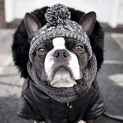 Changskj Şapka Kış Köpek Şapka - Başlarını Sıcak Tutmak Donma Güvenli Küçük Köpekler için Şapkalar Bulldog Pet Ürünleri Kış