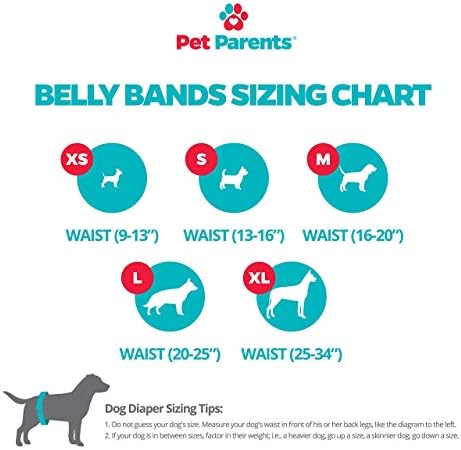 Pet Anne Ekstra Büyük Prim Yıkanabilir Köpek Göbek Bantları ve Orta Pawtect Pedleri Paket-Doggie Bezi, Renk: Doğal Ekstra Büyük