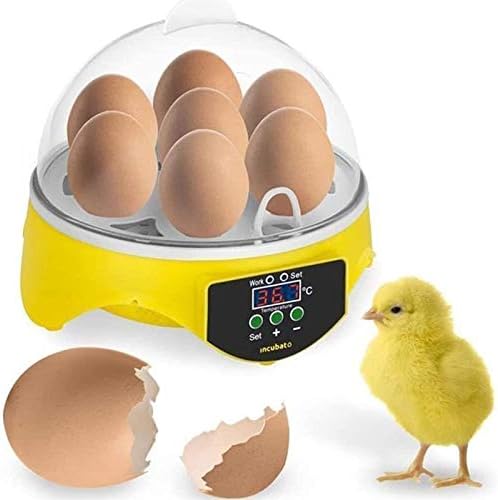 AJ ： Yumurta İnkübatörü, Laboratuarlı Yumurta Kuluçka İnkübatörü Tavuklar Ördekler Kuşlar için Sıcaklık Kontrollü Genel Amaçlı