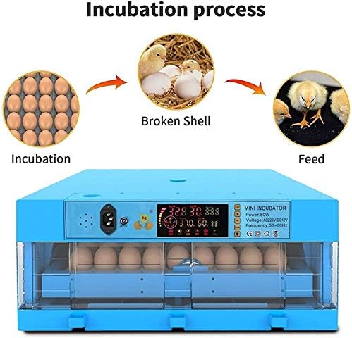 AJ ： Otomatik Yumurta Döndürmeli Yumurta İnkübatörü, Laboratuarlı Yumurta Kuluçka İnkübatörü Genel Amaçlı Tavuklar Ördekler