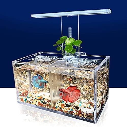 CHNOI Akrilik Balık Tankı Ücretsiz Su Değişimi Izolasyon Kutusu ile LED Masa Lambası Su pompa filtresi Akvaryum Ofis Masaüstü