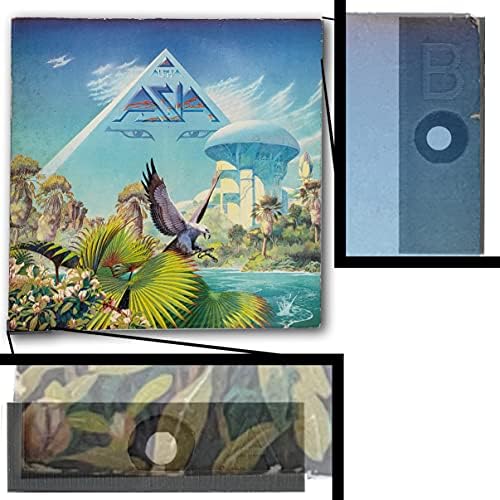 AlbumArt Vinil Görüntüleme Sistemi-Gizli Vinil Kayıt Duvar Montajı / En Sevdiğiniz Albümleri Engelsiz / Minimalist Parantezlerle