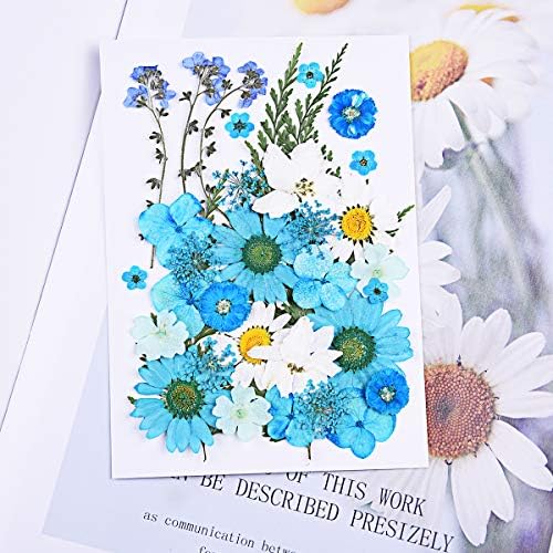 YOLUFER 35 ADET Doğal Kurutulmuş Çiçekler Karışık Çoklu Gerçek Preslenmiş Çiçekler Çeşitli Renkli DIY Reçine Takı Tırnak Sanat