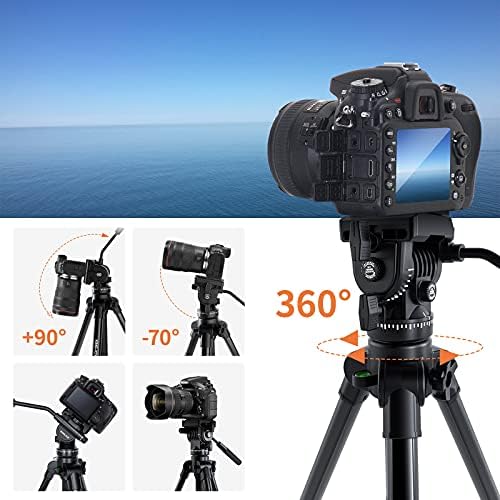 KINGJOY 66 Video Tripod ile Sıvı Kafa Profesyonel kamera tripodu Canon Nikon DSLR için Max Yük 22lbs ile 1/4 Tutuşunu Plaka