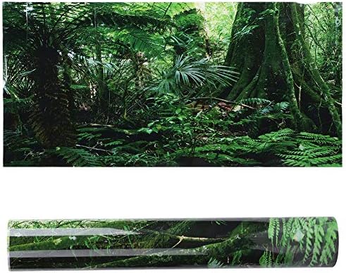 Balık Tankı 3D Rainforest Arka Plan, PVC Yapıştırıcı Sualtı Dünyası Akvaryum Dekor Zemin Posteri Duvar Kağıdı Manzara Sticker