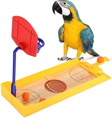 Basketbol Çember Oyuncak, Renkli Basketbol Egzersiz Eğitimi Oyuncak Basketbol Oyuncak, Kuş için